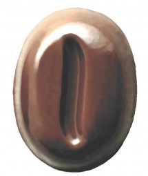 Form für Schoko-Dekore: Moccabohne, (10 x) 62 St.