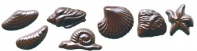 Form für Schoko-Dekore: Muscheln, (10 x) 21 St.